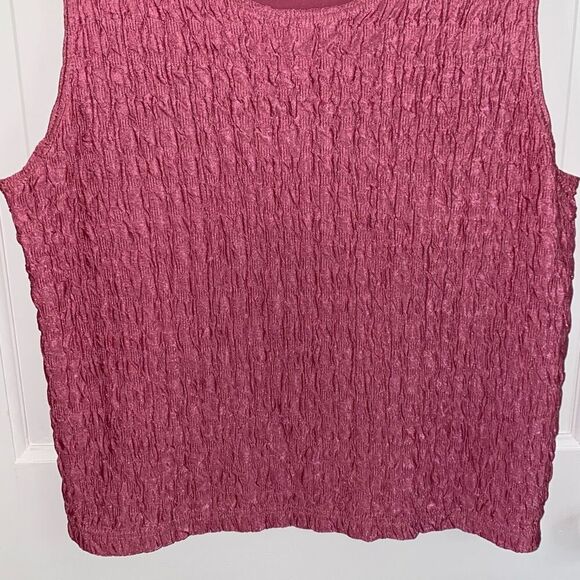 🔥3/$20🔥 Willow Ridge sleeveless textured blouse size XL - Picture 3 of 7